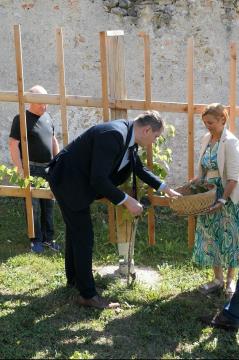 Prva trgatev v samostanu Mekinje (3)
